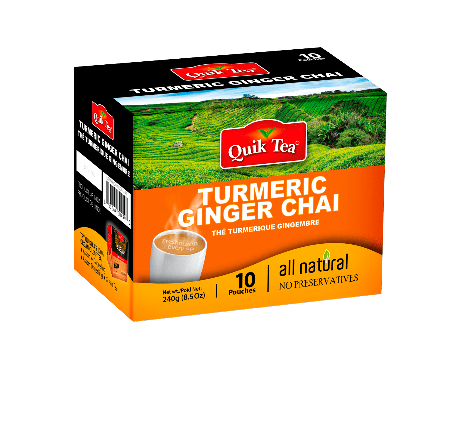 Turmeric Ginger Chai - 10 Pack